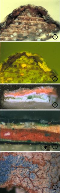 
1.        M&ouml;beloberfl&auml;che/Stuhl aus Schlo&szlig; Tiefurt, Anschliff unter sichtbarem Licht
2.     Aufnahme 1 unter UV-Licht, Unterscheidung von Lackschichten durch Kontrastverst&auml;rkung
3.      Lutherhaus Neustadt/Orla, Renaissanceausmalung auf der Innenseite eines Erkers, 16. Jh., Anschliff der polychromen Erstfassung
4.       fr&uuml;hgotisches Kruzifix/Kirche Tr&ouml;chtelborn, Ornament auf Kreuzbalken, Anschliff zur Erfassung und Zuordnung einer nur in Resten vorhandenen Silberauflage
5.        Dom Zeitz/gotischer Chor, Azurit auf wei&szlig;er Grundierung, darunter Mennige
